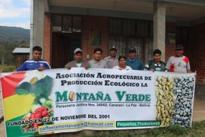  cooperativa Montaña Verde Bolivia