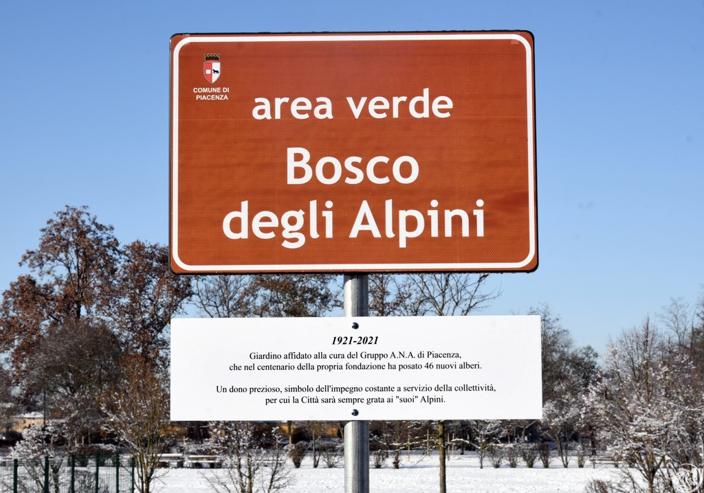 Bosco-Alpini-FotoDelPapa_6